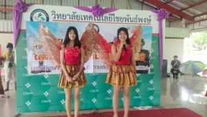ภาพกิจกรรม